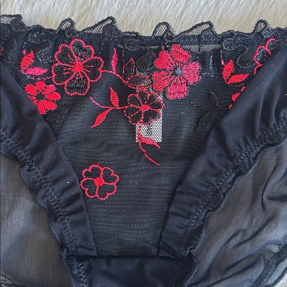 Embroidered Lace Mesh Panty S - Picture 2 of 4